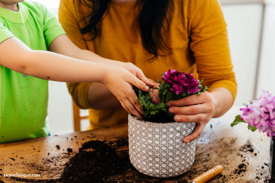 Planting flowers that start with G from home