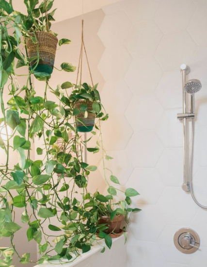 Shower curtains made of hanging plants - DYI shower curtain alternative