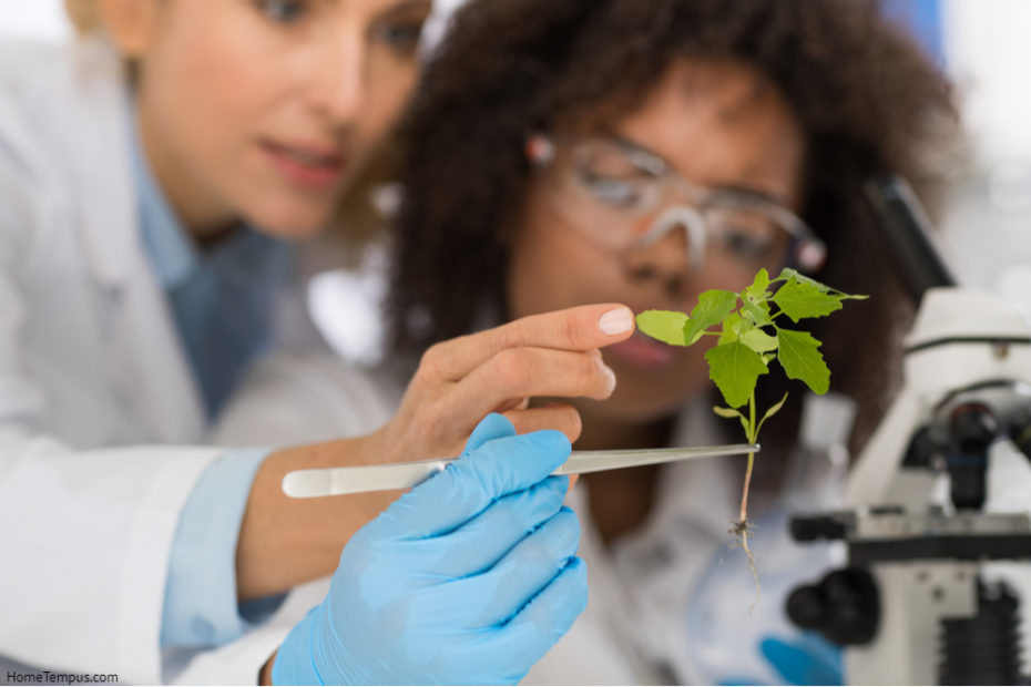 Horticulture vs Botany - Female Scientists Examine Plant Working In Genetics Laboratory Study Research, Two Women Analyze Scientific Experiments In Lab