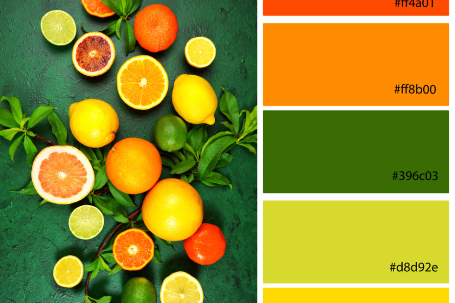 What Colors Go With Lime Green - Healthy Lifestyle Designer Color Palette inspired by citrus fruit on a dark green textured background. Designer pack with photograph and swatches with hex codes references.