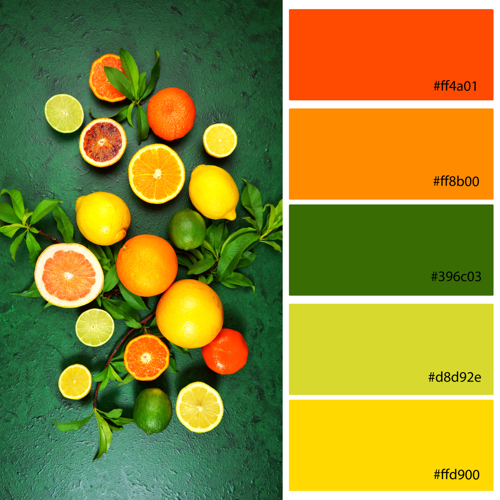 Healthy Lifestyle Designer Color Palette inspired by citrus fruit on a dark green textured background. Lime Green Colour Palettes