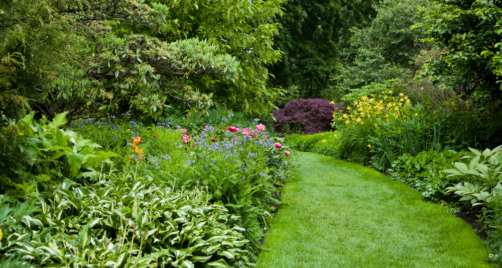 Lush green botanical garden - blooming spring flowers and lawn path. What is a horticulturist?